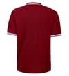 Thumbnail Burgundy polo shirt with striped collar and cuffs, back view.